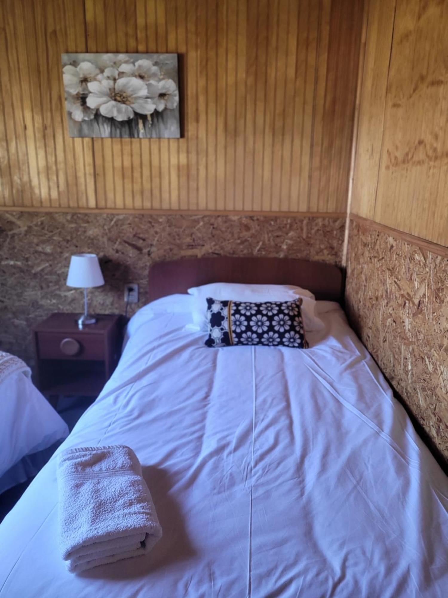 Cabanas Vientos Del Sur En Puerto Puyuhuapi Aysen 外观 照片